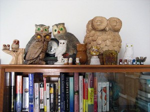 Mr. Owl and his friends